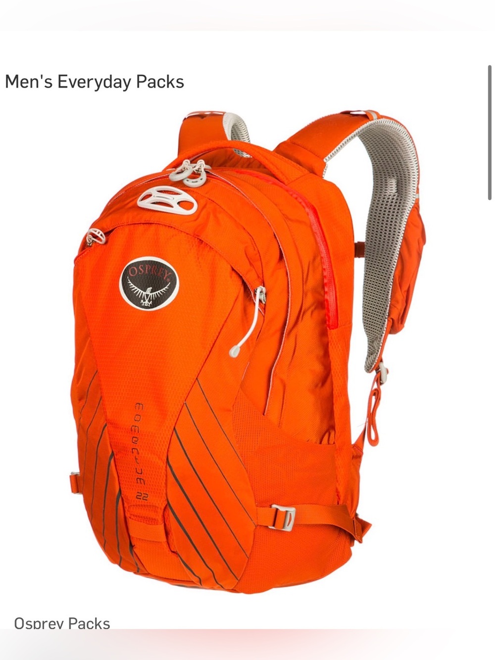 EUC Osprey Momentum 22 backpack